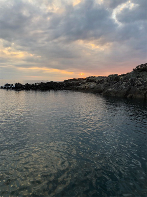 とんかつサイズ1枚ぽっきり（＾ν＾）