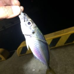 マリンピア沖洲でライトゲーム