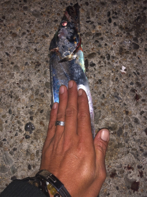 ドラゴン及ばず…。