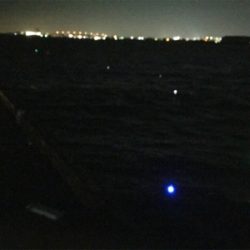 激シブ！釣果写真は1匹のみ・・・