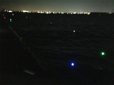 激シブ！釣果写真は1匹のみ・・・