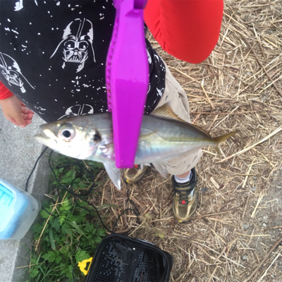 大阪湾奥サビキ 快釣 イケア裏