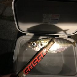 灘浜ライトゲーム