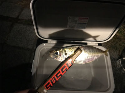 灘浜ライトゲーム