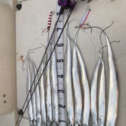 タチウオジギング