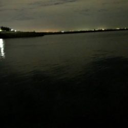 ひさひざナイトフィッシュ