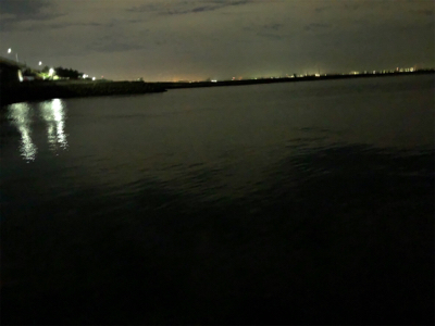 ひさひざナイトフィッシュ