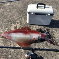 ま、まさかの化け物(^^)(^^)