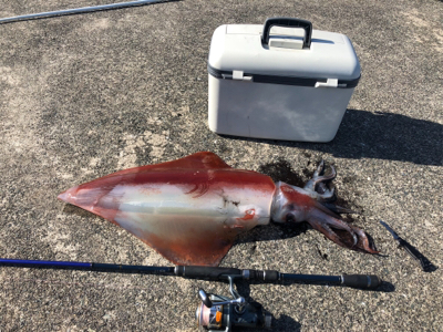 ま、まさかの化け物(^^)(^^)