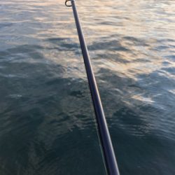久しぶりの浮き釣り