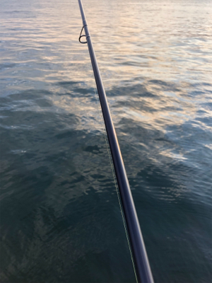 久しぶりの浮き釣り