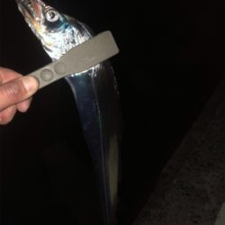 いよいよ終盤？