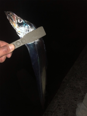 いよいよ終盤？