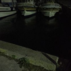 激さむ！釣果も寒い！！