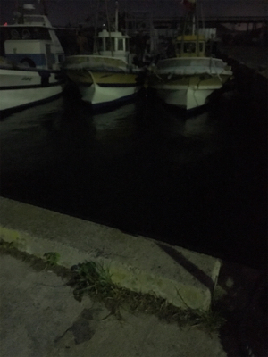 激さむ！釣果も寒い！！