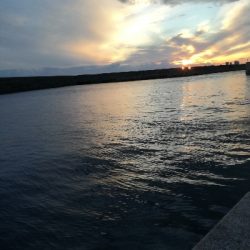 満月　大潮はいまいちか