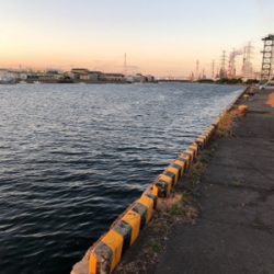 大分市家島港 サビキ釣り