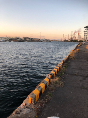 大分市家島港 サビキ釣り