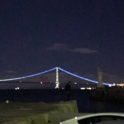 時季外れ過ぎる