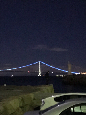 時季外れ過ぎる