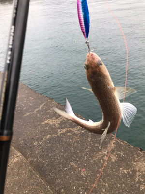 小雨の中、諦めずに頑張った…。