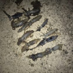 ヒイカナイトゲーム☆GUNNING-STYLE