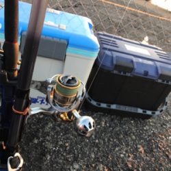 ゲキ渋メジロ釣行