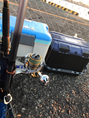 ゲキ渋メジロ釣行