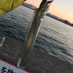 安定のタッチポン 陸