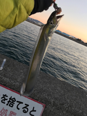 安定のタッチポン 陸