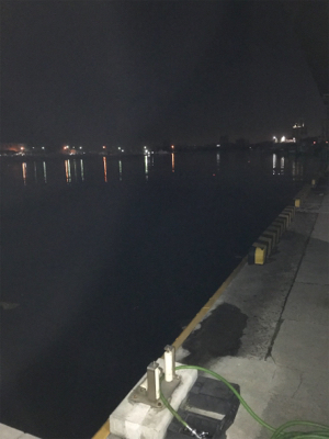 今夜は絶好調！