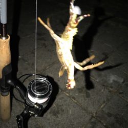 灘浜でガシリング