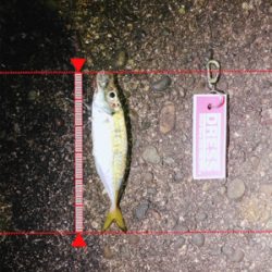 そろそろメバルかな？