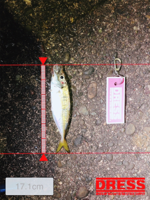 そろそろメバルかな？