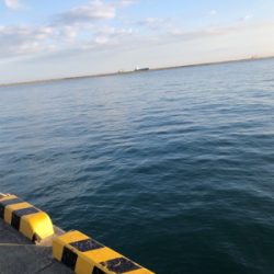 大在公共埠頭 ジグサビキ