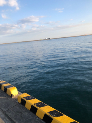 大在公共埠頭 ジグサビキ