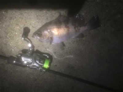 満月メバリング3days 2日目