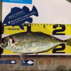 フィッシングホテルでタチウオと良型アジ