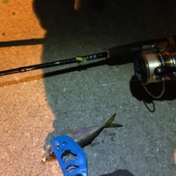 牛深ライトゲーム2