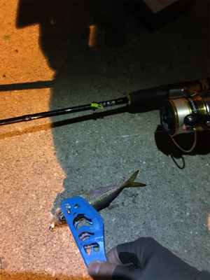 牛深ライトゲーム2