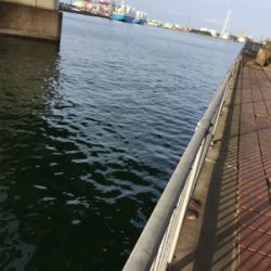 オクトパッシング