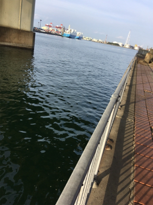 オクトパッシング