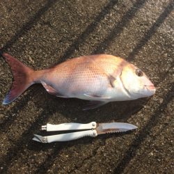 投げる・流す・スポン！