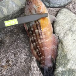 ファミリーちょい投げ釣り