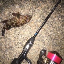 メバリングナイトゲーム☆GUNNING-STYLE