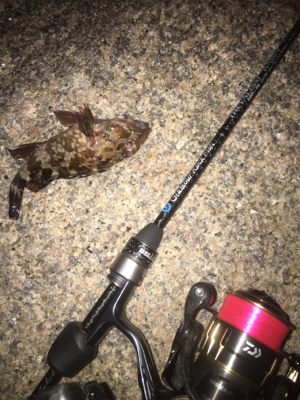 メバリングナイトゲーム☆GUNNING-STYLE