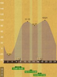 メバリングでタチウオ？