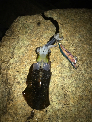 まだまだいけそう