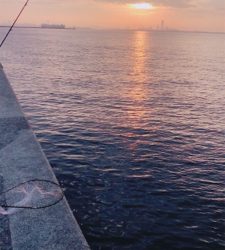 3度目の武庫一…今日は一人で