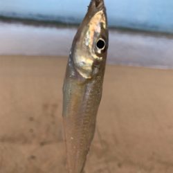 久しぶりの松原